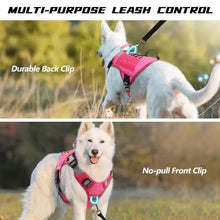 Load image into Gallery viewer, Dog Harness ~ No-Pull Comfort for Every Walk! ๐พ