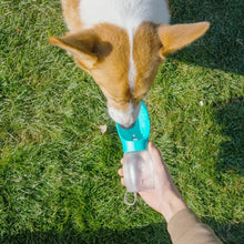 Load image into Gallery viewer, Portable Dog Water Bottle ~ Perfect for Walks & Adventures! 🐶