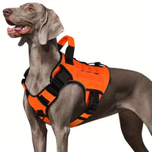 Load image into Gallery viewer, Dog Harness ~ No-Pull Comfort for Every Walk! ๐พ