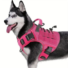 Load image into Gallery viewer, Dog Harness ~ No-Pull Comfort for Every Walk! ๐พ
