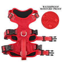 Load image into Gallery viewer, Reflective No-Pull Dog Harness ~ Safe & Stylish for Every Walk! 🐶