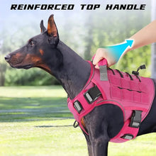 Load image into Gallery viewer, Dog Harness ~ No-Pull Comfort for Every Walk! ๐พ