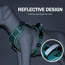 Load image into Gallery viewer, Anti-Pull Dog Harness ~ Escape-Proof & Breathable for Large Dogs! 🐾