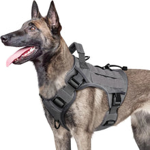 Load image into Gallery viewer, Dog Harness ~ No-Pull Comfort for Every Walk! 🐾
