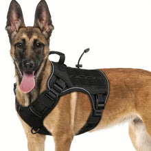 Load image into Gallery viewer, Dog Harness ~ No-Pull Comfort for Every Walk! 🐾
