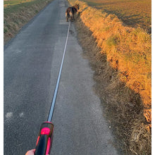 Load image into Gallery viewer, Retractable Dog Leash ~ Freedom &amp; Control for Every Walk! 🐾
