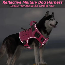 Load image into Gallery viewer, Dog Harness ~ No-Pull Comfort for Every Walk! 🐾
