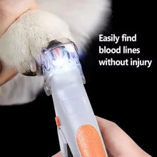 Load image into Gallery viewer, Cat Nail Clippers ~ Built-In Light for Safe, Precise Trims! 🐾
