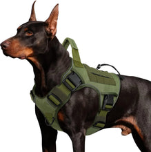 Load image into Gallery viewer, Dog Harness ~ No-Pull Comfort for Every Walk! 🐾
